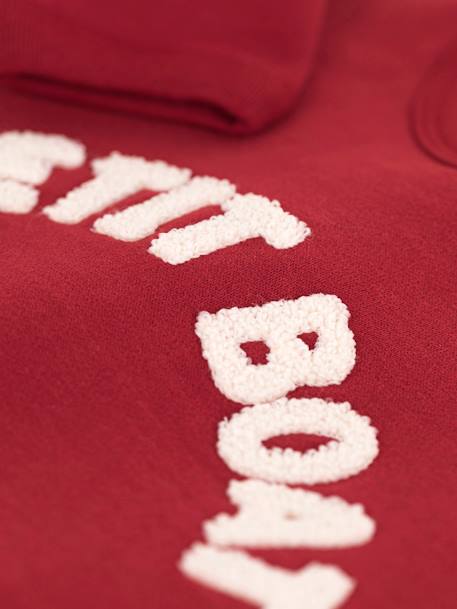 Sweatshirt para bebé, em algodão, Petit Bateau vermelho 