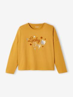 Menina 2-14 anos-T-shirts-Camisola "lucky" com detalhes irisados e em veludo, para menina