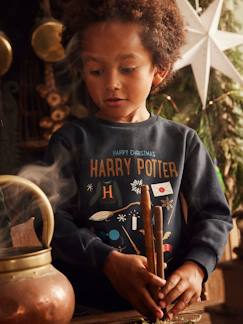 Menino 2-14 anos-Camisolas, casacos de malha, sweats-Sweatshirts-Sweat Harry Potter® de Natal, para criança