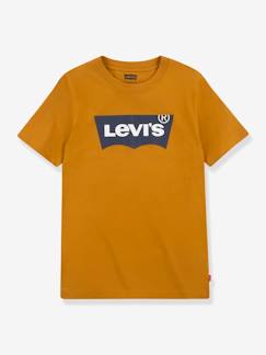 Menino 2-14 anos-T-shirts, polos-T-shirts-T-shirt Batwing da Levi's®