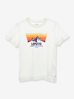 Menino 2-14 anos-T-shirts, polos-T-shirts-T-shirt Mountain Batwing da Levi's®, para criança