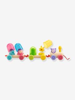 Brinquedos-Primeira idade-Brinquedo para puxar, Rainbow Train, da DJECO