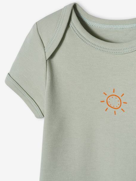 Lote de 5 bodies sunshine, mangas curtas, para bebé verde-água 