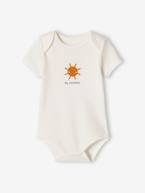 Lote de 5 bodies sunshine, mangas curtas, para bebé verde-água 