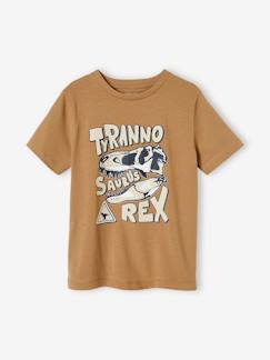 -T-shirt dinossauro, para menino