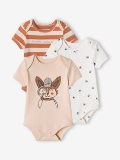 Bebé 0-36 meses-Bodies-Lote de 3 bodies raposa, de mangas curtas, para bebé