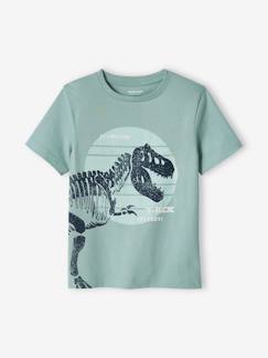 T-shirts-T-shirt com dinossauro grande, para menino