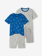 Lote de 2 pijamas 'Tucano' para menino azul-elétrico 