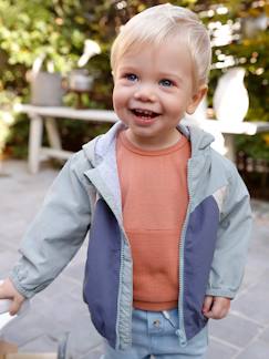 Bebé 0-36 meses-Sweat de mangas curtas, para bebé