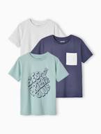 Lote de 3 t-shirts sortidas de mangas curtas, para menino bordeaux+CASTANHO MEDIO BICOLOR/MULTICO+lote amarelo+lote verde+lote vermelho+verde 