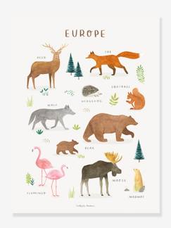 Têxtil-lar e Decoração-Decoração-Decoração de parede-Póster Animais da Europa, Living Earth da LILIPINSO