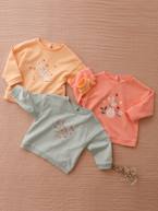 Sweat basics, em moletão, para bebé alperce-rosado+coral+verde-água 