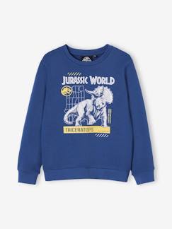 Menino 2-14 anos-Camisolas, casacos de malha, sweats-Sweatshirts-Sweat Mundo Jurássico®, para criança