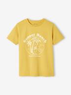 Lote de 3 t-shirts sortidas de mangas curtas, para menino bordeaux+CASTANHO MEDIO BICOLOR/MULTICO+lote amarelo+lote verde+lote vermelho+verde 