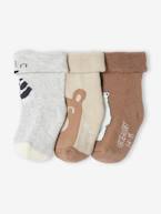 Lote de 3 pares de meias urso, para bebé avelã 