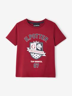 Menino 2-14 anos-T-shirts, polos-T-shirts-T-shirt Harry Potter®, para criança