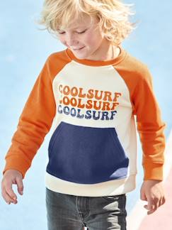 Menino 2-14 anos-Camisolas, casacos de malha, sweats-Sweatshirts-Sweat cool surf, efeito colorblock, para menino