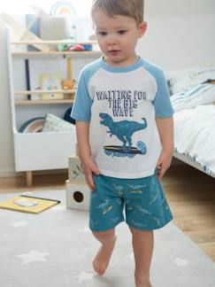 Menino 2-14 anos-Pijamas-Pijama estampado, para menino, Dino Surf