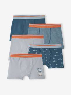 Menino 2-14 anos-Roupa interior-Lote de 5 boxers stretch Iéti, para menino