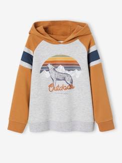 Menino 2-14 anos-Camisolas, casacos de malha, sweats-Sweat com capuz e motivo gráfico, mangas raglan, para menino