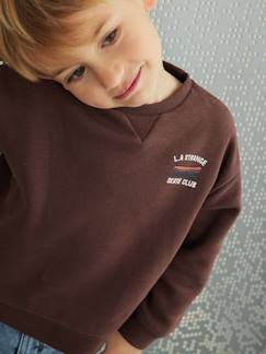Menino 2-14 anos-Camisolas, casacos de malha, sweats-Sweatshirts-Sweat com animação lúdica atrás, para menino