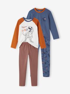 Menino 2-14 anos-Pijamas-Lote de 2 pijamas dinossauro, para menino