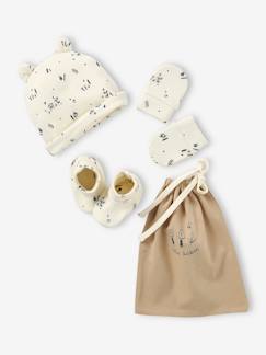 Bebé 0-36 meses-Acessórios-Conjunto gorro + luvas de polegar + sapatinhos + bolsa, para bebé