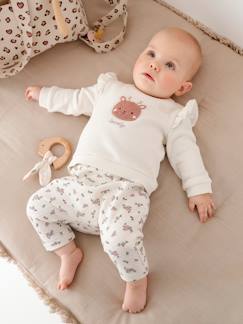 Bebé 0-36 meses-Conjunto sweat e calças, para bebé