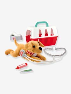 Brinquedos- Jogos de imitação-Transportadora de veterinário 24 cm - ECOIFFIER