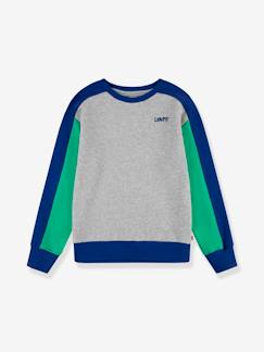 Menino 2-14 anos-Camisolas, casacos de malha, sweats-Sweatshirts-Sweat colorblock da Levi's®, com logótipo