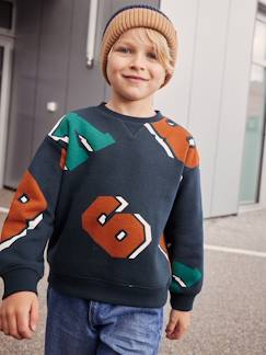 Menino 2-14 anos-Camisolas, casacos de malha, sweats-Sweatshirts-Sweat de gola redonda, com motivos grandes, para menino