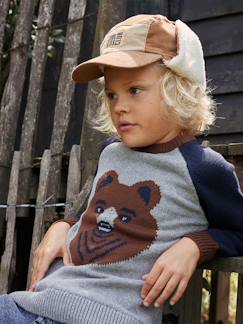 Menino 2-14 anos-Camisolas, casacos de malha, sweats-Camisolas malha-Camisola em jacquard com urso, mangas raglan, para menino