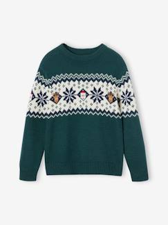 Menino 2-14 anos-Camisolas, casacos de malha, sweats-Camisolas malha-Camisola jacquard de Natal, para criança, coleção cápsula família