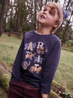 Menino 2-14 anos-T-shirts, polos-T-shirts-Camisola pré-histórica artista, detalhes bordados, para menino