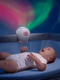 Têxtil-lar e Decoração-Decoração-Iluminação-Luzes de presença-Projetor Urso Polar, CHICCO