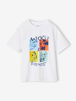 Menino 2-14 anos-T-shirts, polos-T-shirts-T-shirt Mickey da Disney®, para criança