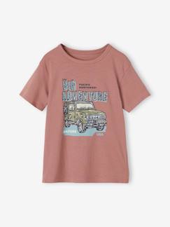 Menino 2-14 anos-T-shirts, polos-T-shirt de mangas curtas com motivos gráficos, para menino