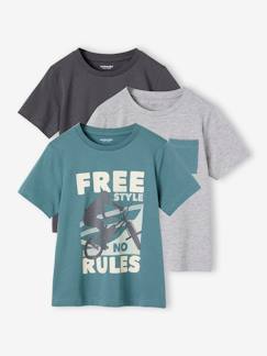 Menino 2-14 anos-T-shirts, polos-T-shirts-Lote de 3 t-shirts sortidas de mangas curtas, para menino