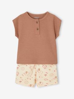 Bebé 0-36 meses-Conjunto: t-shirt estilo tunisino + calções, para bebé