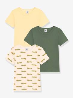 Menino 2-14 anos-T-shirts, polos-T-shirts-Lote de 3 t-shirts de mangas curtas, da PETIT BATEAU