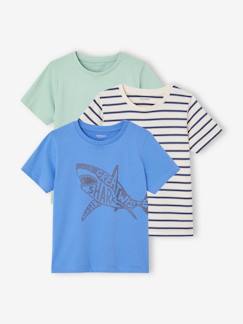 Menino 2-14 anos-T-shirts, polos-Lote de 3 t-shirts sortidas de mangas curtas, para menino