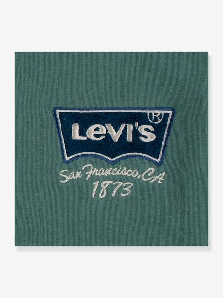 Blusão estilo Teddy da Levi's®, para criança verde 