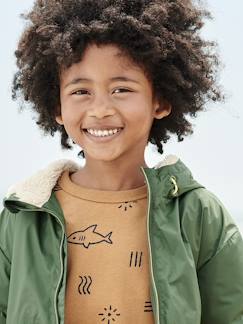 Menino 2-14 anos-Camisolas, casacos de malha, sweats-Sweatshirts-Sweat tubarões, para menino