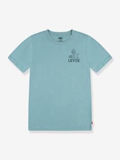 Menino 2-14 anos-T-shirt gráfica, para criança, da Levi's®