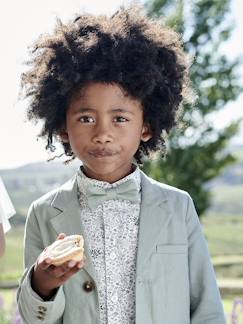 Menino 2-14 anos-Camisas-Camisa às flores e laço papillon, para menino