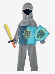 Disfarce de cavaleiro  