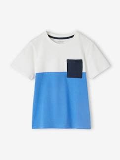 Menino 2-14 anos-T-shirts, polos-T-shirts-T-shirt coloblock de mangas curtas, para menino