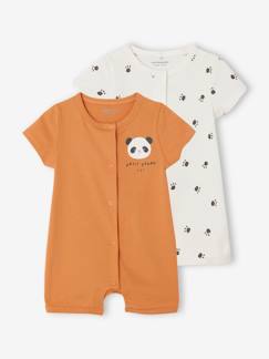 Bebé 0-36 meses-Pijamas, babygrows-Lote de 2 macacões para recém-nascido
