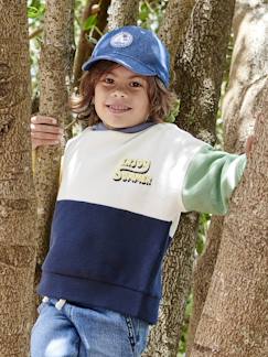 Menino 2-14 anos-Camisolas, casacos de malha, sweats-Sweatshirts-Sweat colorblock, com capuz, para menino
