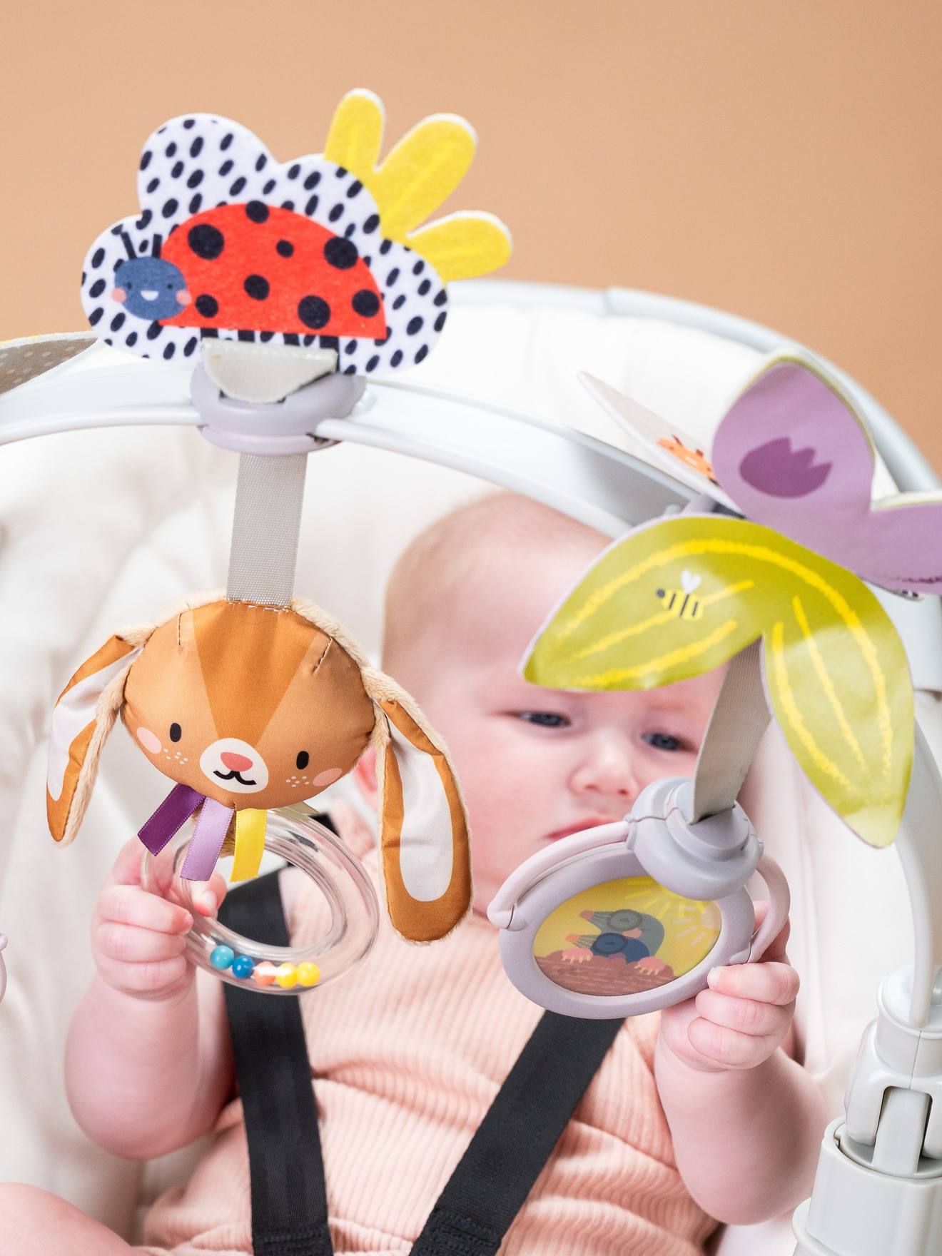 Arco evolutivo Jardim - TAF TOYS multicolor